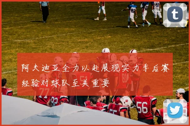 阿夫迪亚全力以赴展现实力季后赛经验对球队至关重要
